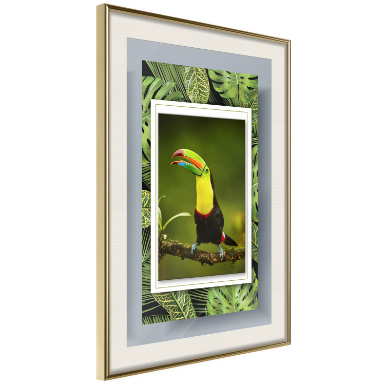 Poster Toucan - colorful bird sitting on a branch among tropical leaves 116451 additionalImage 2