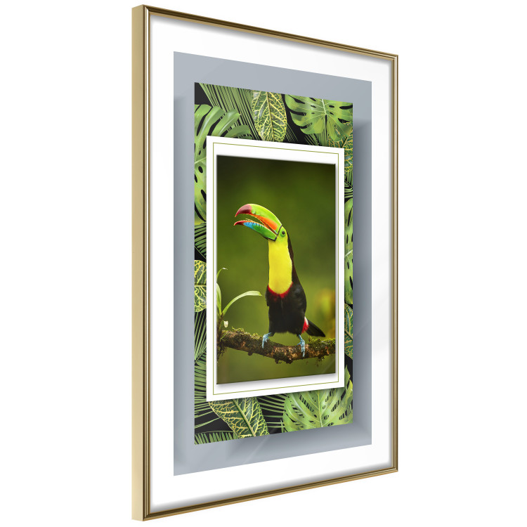 Poster Toucan - colorful bird sitting on a branch among tropical leaves 116451 additionalImage 8