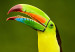 Poster Toucan - colorful bird sitting on a branch among tropical leaves 116451 additionalThumb 9