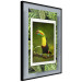 Poster Toucan - colorful bird sitting on a branch among tropical leaves 116451 additionalThumb 12