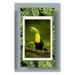 Poster Toucan - colorful bird sitting on a branch among tropical leaves 116451
