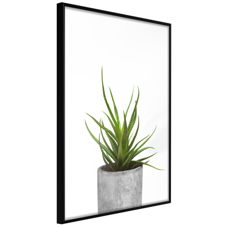 Gallery wall art Coco among the plants 124929 additionalImage 4