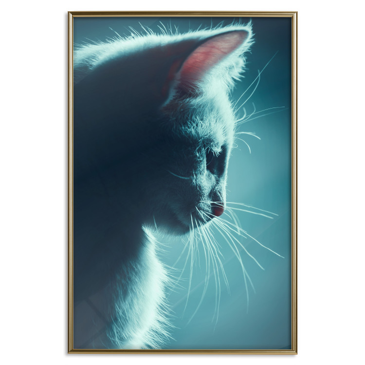 Poster Night Wanderer - portrait of a cat in winter night blue lighting 124451 additionalImage 16
