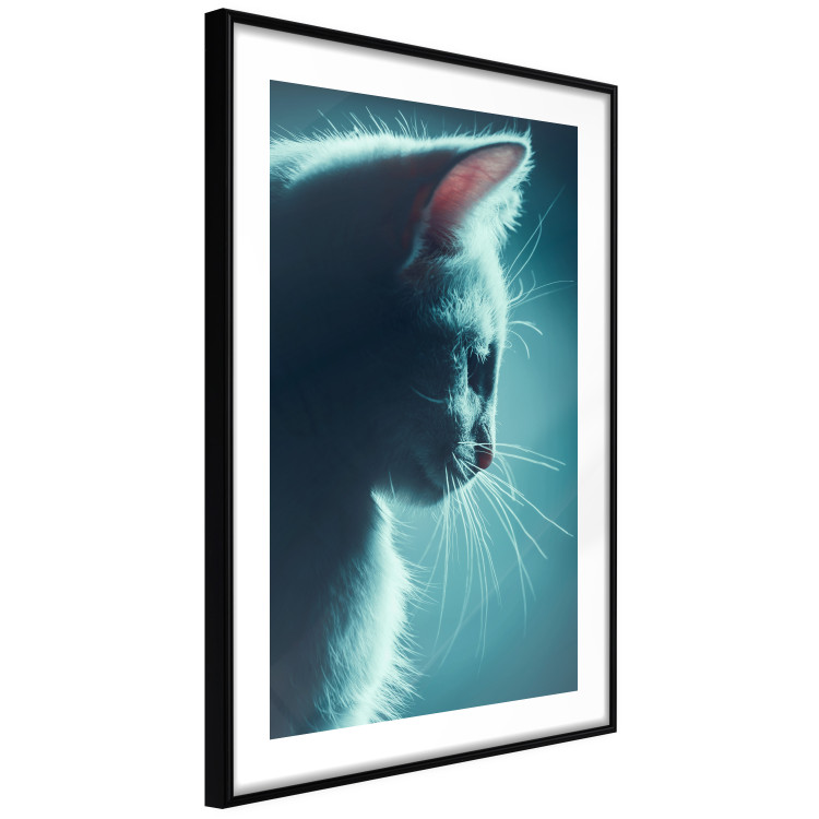 Poster Night Wanderer - portrait of a cat in winter night blue lighting 124451 additionalImage 11