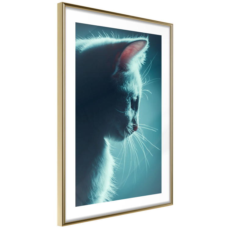 Poster Night Wanderer - portrait of a cat in winter night blue lighting 124451 additionalImage 6