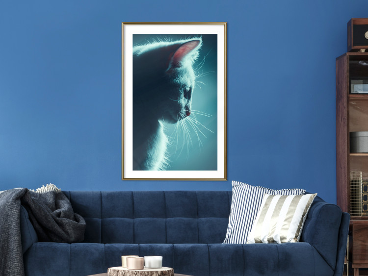 Poster Night Wanderer - portrait of a cat in winter night blue lighting 124451 additionalImage 13