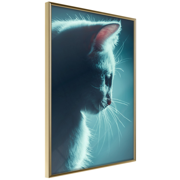 Poster Night Wanderer - portrait of a cat in winter night blue lighting 124451 additionalImage 12