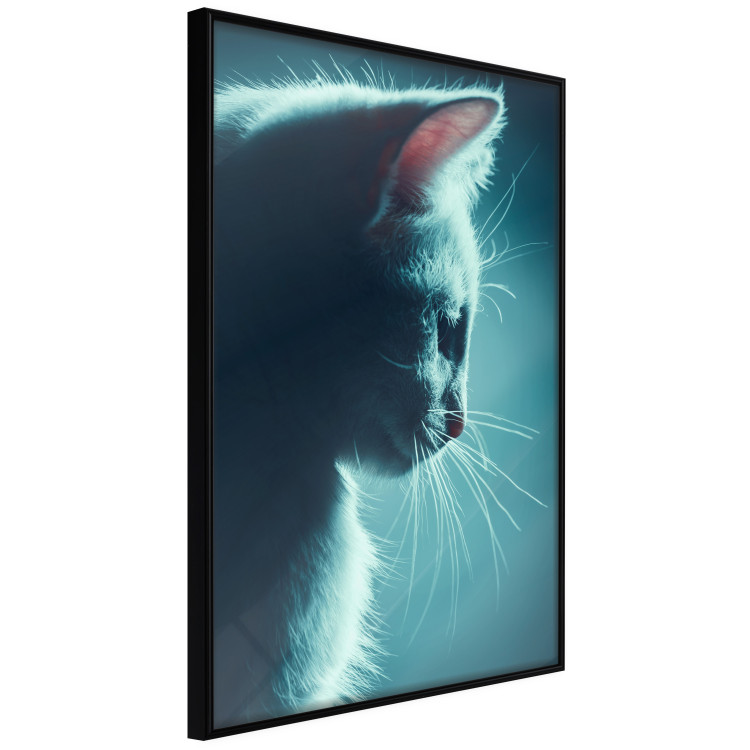 Poster Night Wanderer - portrait of a cat in winter night blue lighting 124451 additionalImage 10