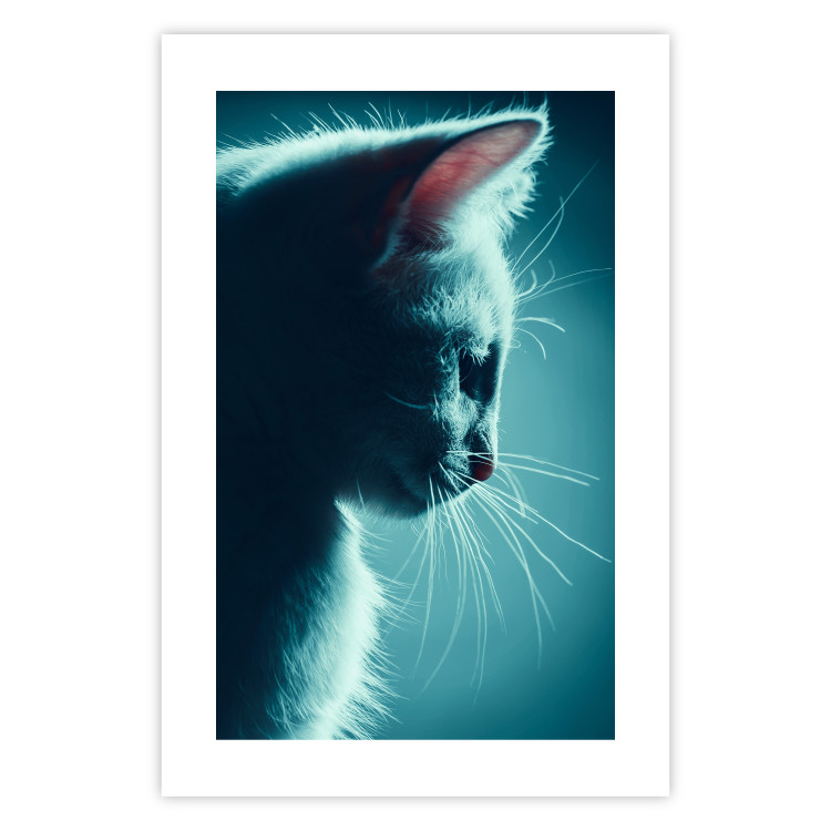 Poster Night Wanderer - portrait of a cat in winter night blue lighting 124451 additionalImage 19