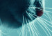 Poster Night Wanderer - portrait of a cat in winter night blue lighting 124451 additionalThumb 9