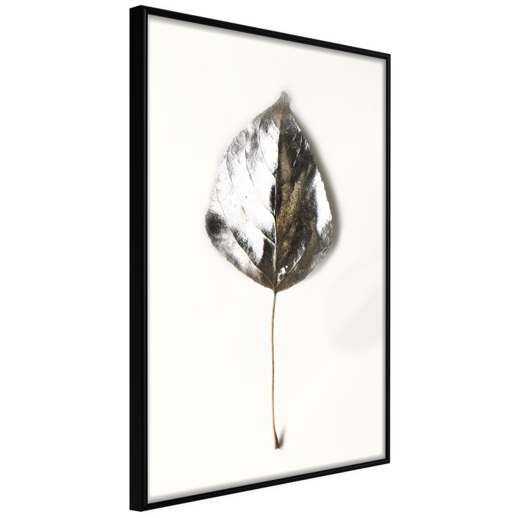 Wall Poster Winter Jewel - leaf from a plant covered in silver lying on white background 124951 additionalImage 10