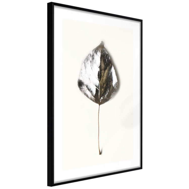 Wall Poster Winter Jewel - leaf from a plant covered in silver lying on white background 124951 additionalImage 11
