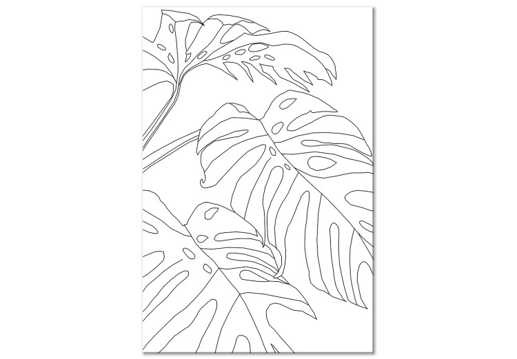 Canvas Three monstera leaves - black leaves contours on a white background 128351