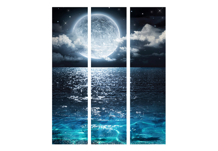 Room Separator Blue Lagoon (3-piece) - full moon in the night sky 132551 additionalImage 3