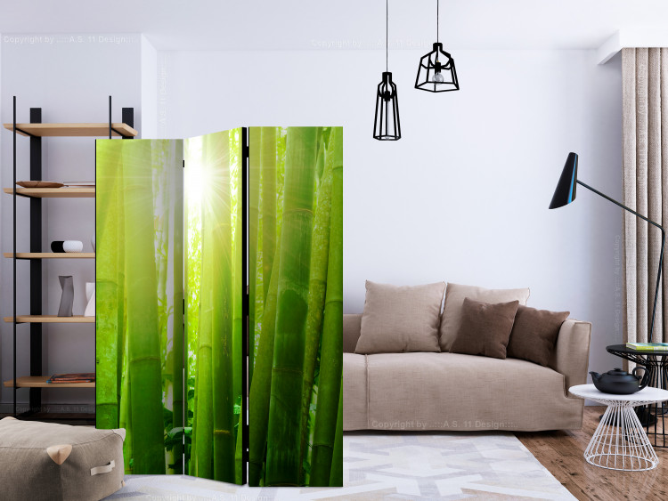 Room Divider Sun and bamboo [Room Dividers] 133251 additionalImage 4