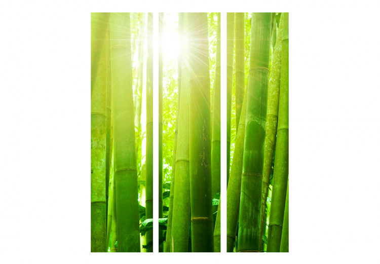 Room Divider Sun and bamboo [Room Dividers] 133251 additionalImage 3