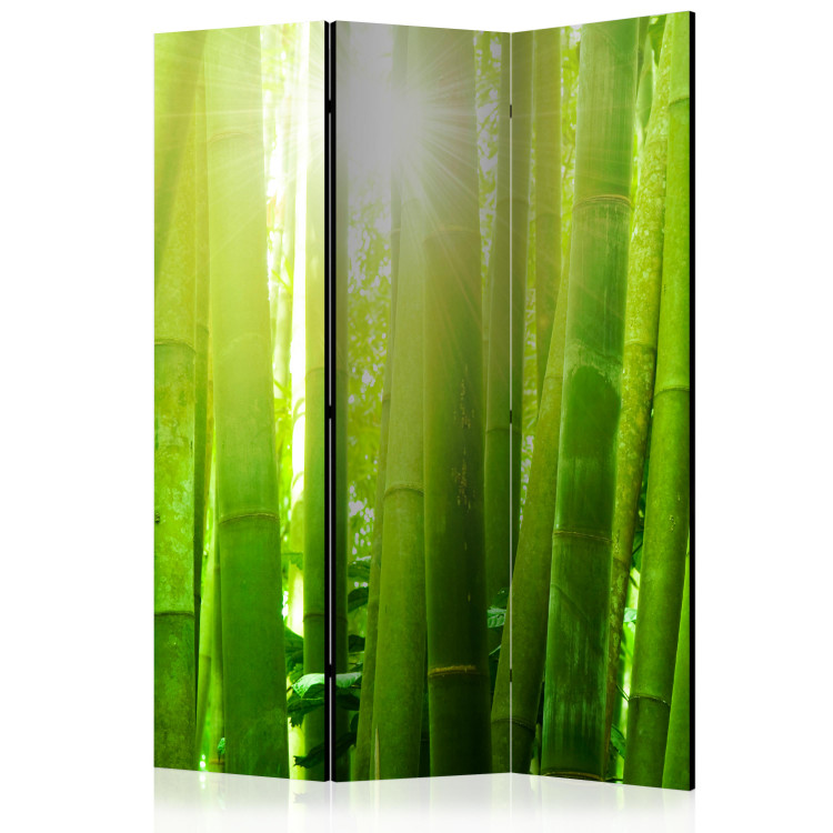 Room Divider Sun and bamboo [Room Dividers] 133251