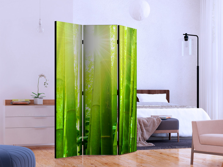 Room Divider Sun and bamboo [Room Dividers] 133251 additionalImage 2