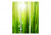 Room Divider Sun and bamboo [Room Dividers] 133251 additionalThumb 3