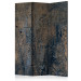 Room Divider Prehistoric Dance (3-piece) - composition with rust texture 133551