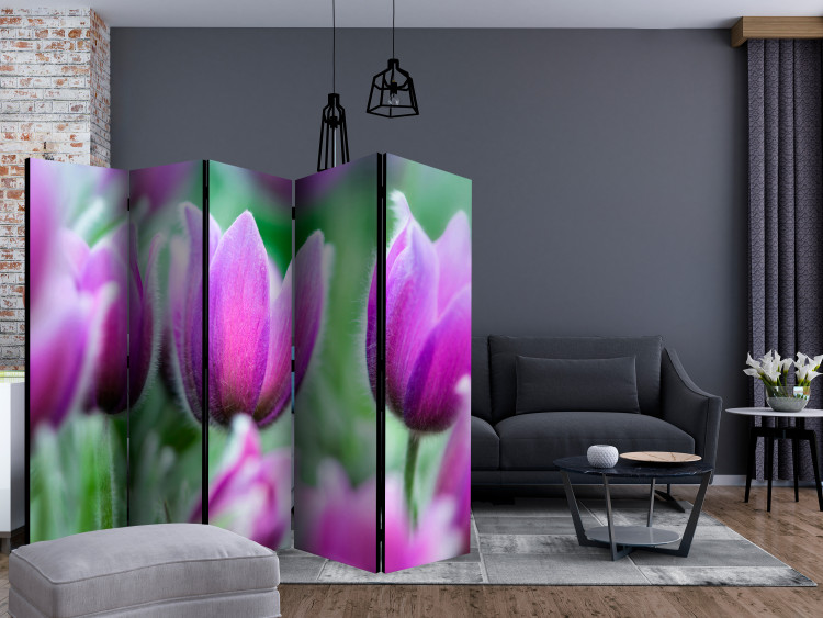 Room Divider Screen Purple Spring Tulips II - colorful flowers on a green meadow 133951 additionalImage 4