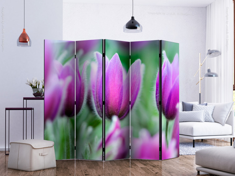Room Divider Screen Purple Spring Tulips II - colorful flowers on a green meadow 133951 additionalImage 2
