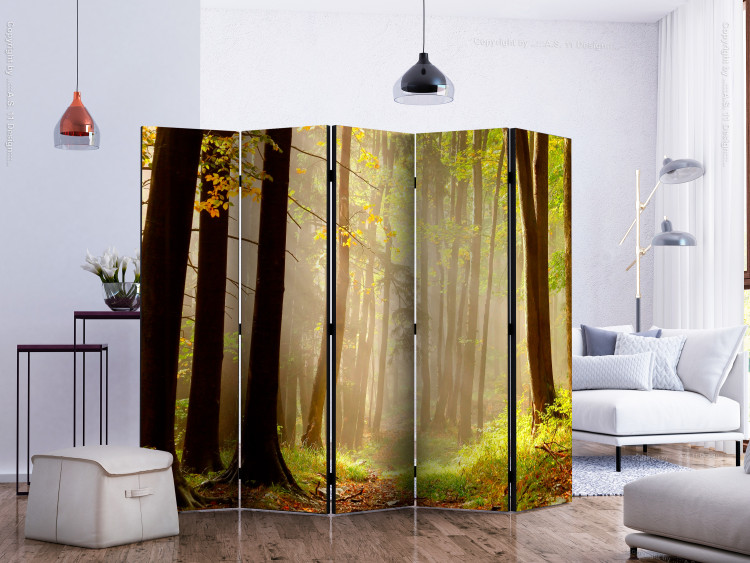Room Divider Mysterious Forest Path II (5-piece) - landscape among forest trees 134151 additionalImage 2