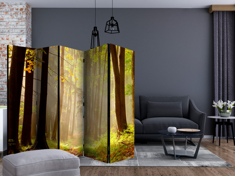 Room Divider Mysterious Forest Path II (5-piece) - landscape among forest trees 134151 additionalImage 4