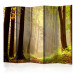 Room Divider Mysterious Forest Path II (5-piece) - landscape among forest trees 134151