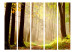 Room Divider Mysterious Forest Path II (5-piece) - landscape among forest trees 134151 additionalThumb 3