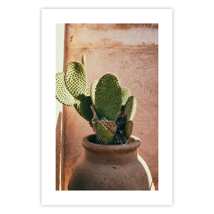 Poster Cactus in a Pot - succulent in a pot against the bright sunlight 134751 additionalImage 25