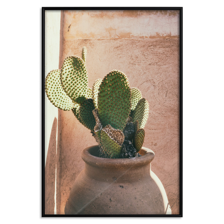 Poster Cactus in a Pot - succulent in a pot against the bright sunlight 134751 additionalImage 16