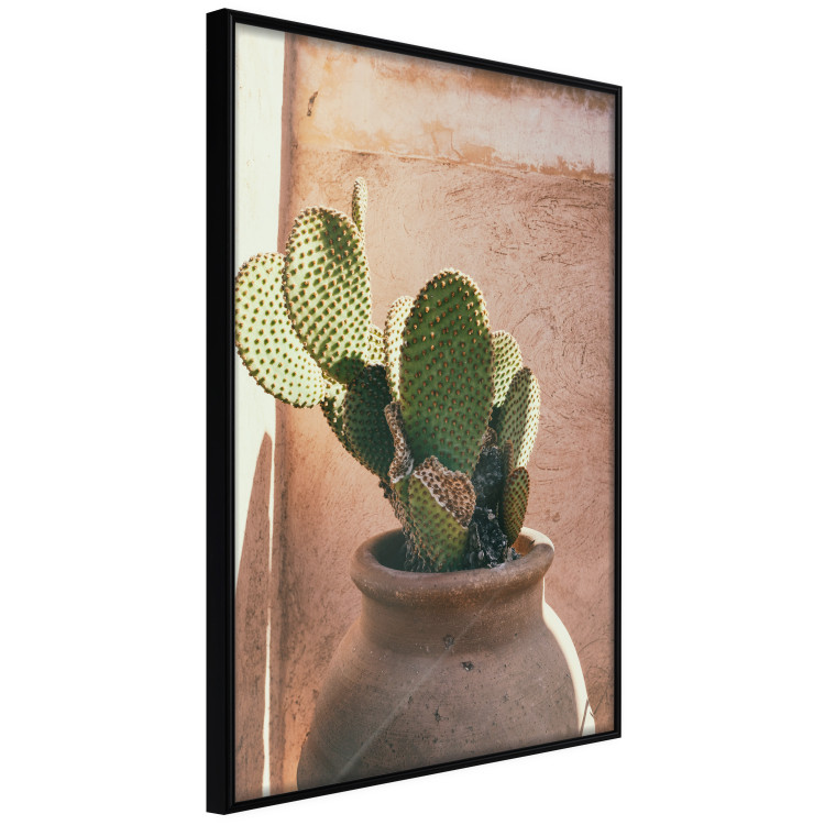 Poster Cactus in a Pot - succulent in a pot against the bright sunlight 134751 additionalImage 13