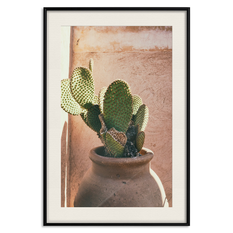 Poster Cactus in a Pot - succulent in a pot against the bright sunlight 134751 additionalImage 19
