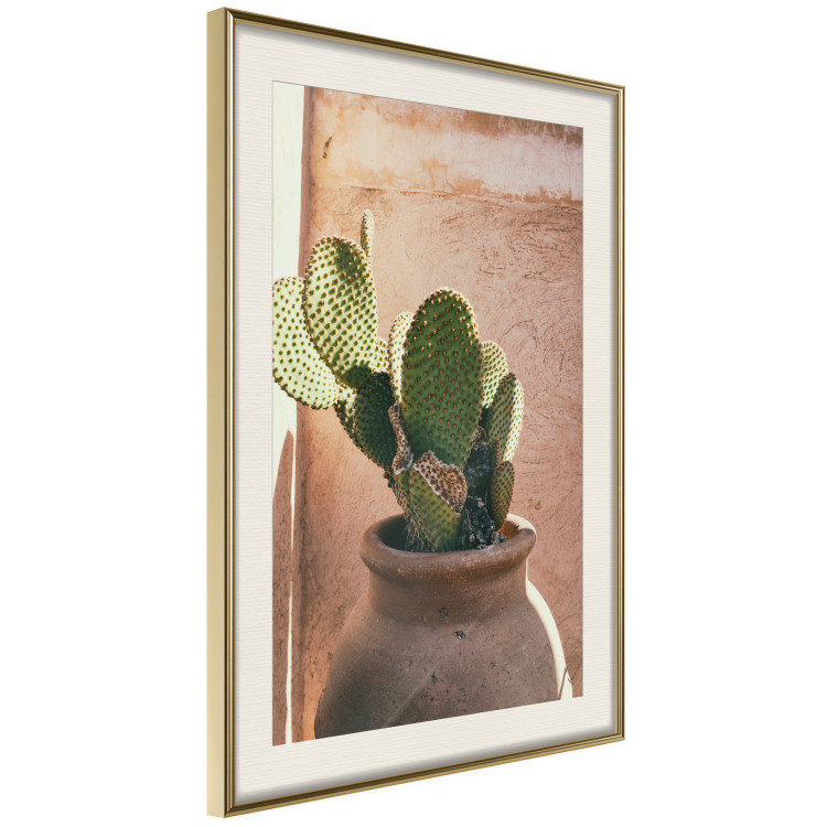 Poster Cactus in a Pot - succulent in a pot against the bright sunlight 134751 additionalImage 3