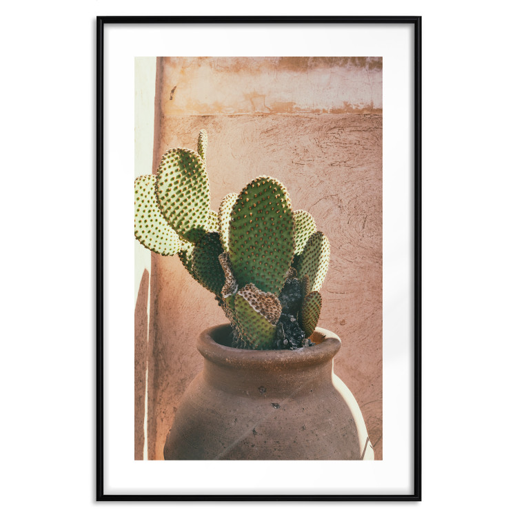 Poster Cactus in a Pot - succulent in a pot against the bright sunlight 134751 additionalImage 15