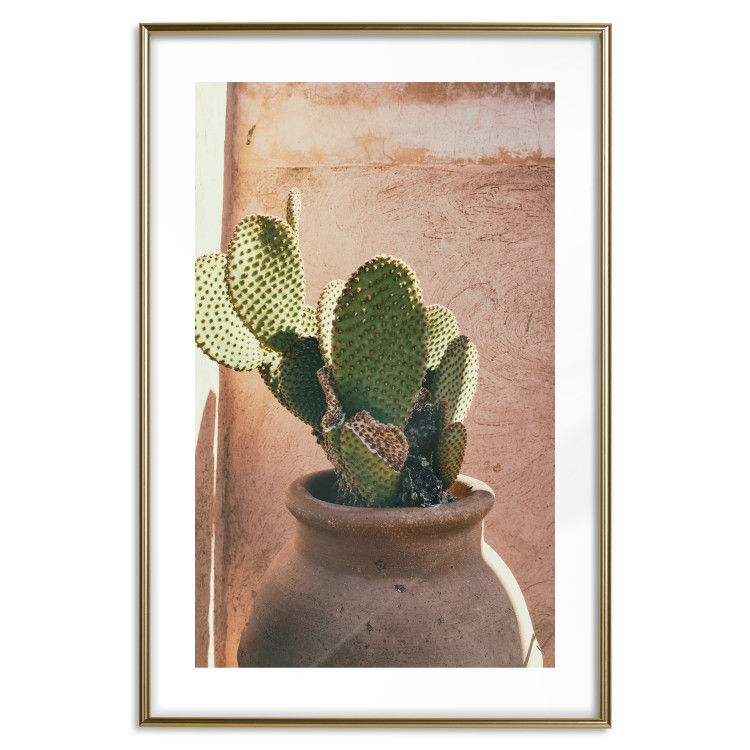 Poster Cactus in a Pot - succulent in a pot against the bright sunlight 134751 additionalImage 16