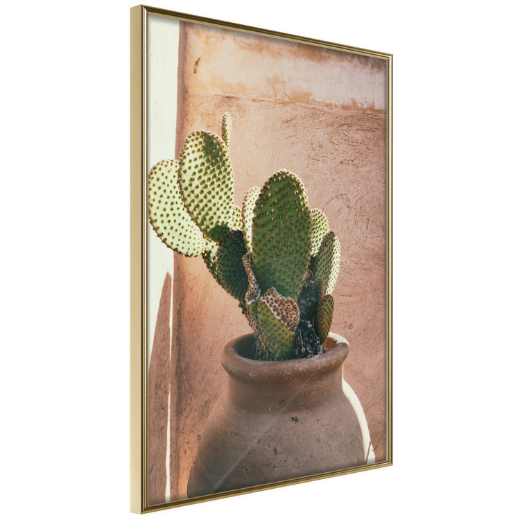 Poster Cactus in a Pot - succulent in a pot against the bright sunlight 134751 additionalImage 12