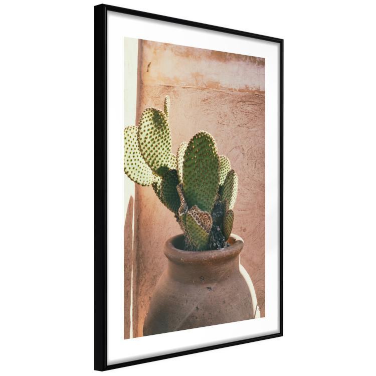 Poster Cactus in a Pot - succulent in a pot against the bright sunlight 134751 additionalImage 8