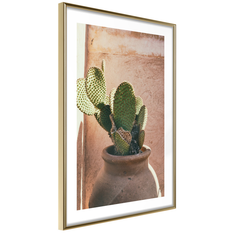 Poster Cactus in a Pot - succulent in a pot against the bright sunlight 134751 additionalImage 7