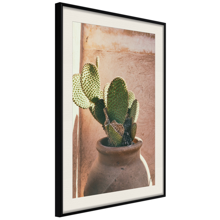 Poster Cactus in a Pot - succulent in a pot against the bright sunlight 134751 additionalImage 2