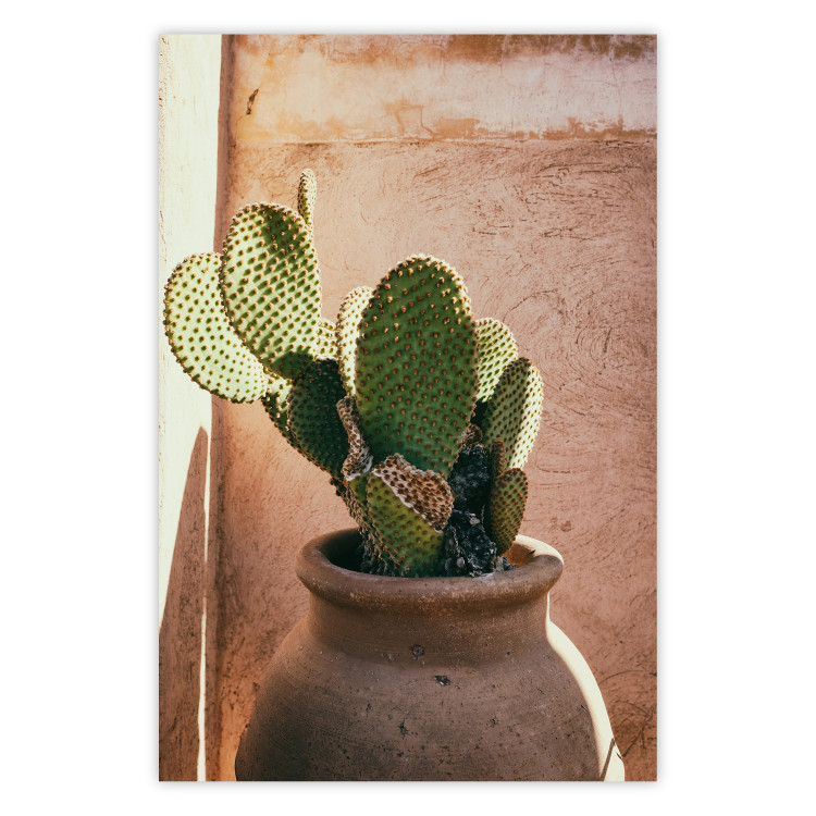Poster Cactus in a Pot - succulent in a pot against the bright sunlight 134751