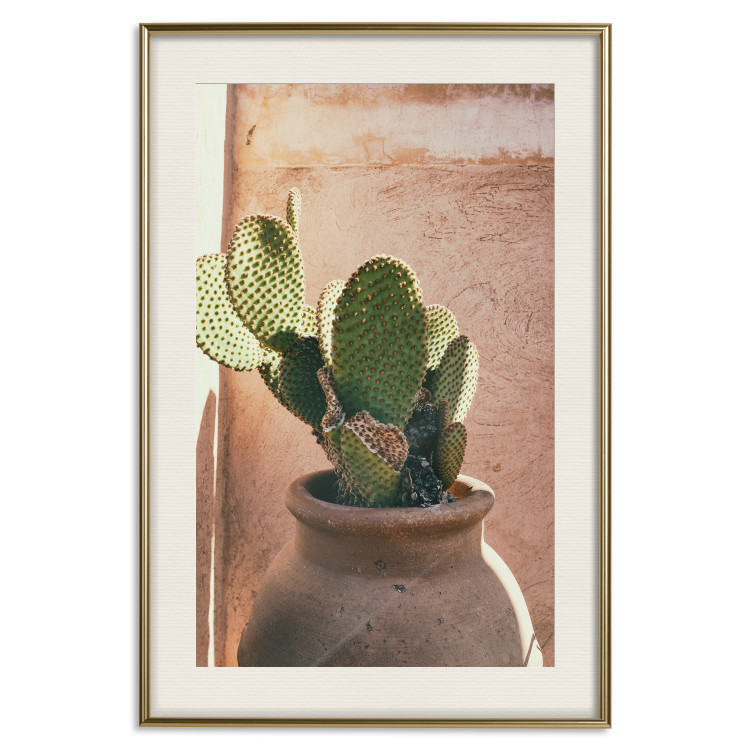 Poster Cactus in a Pot - succulent in a pot against the bright sunlight 134751 additionalImage 20