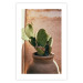 Poster Cactus in a Pot - succulent in a pot against the bright sunlight 134751 additionalThumb 19