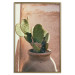 Poster Cactus in a Pot - succulent in a pot against the bright sunlight 134751 additionalThumb 17