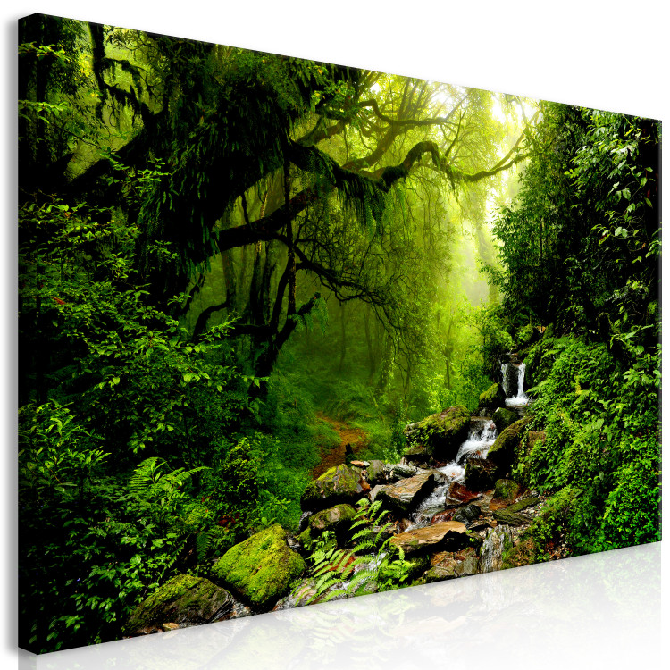 Large canvas print Enchanted Backwoods II [Large Format] 137651 additionalImage 2