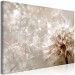 Canvas Print In the Glow of Dandelion (1-piece) - flower seeds carried by the wind 144051 additionalThumb 2
