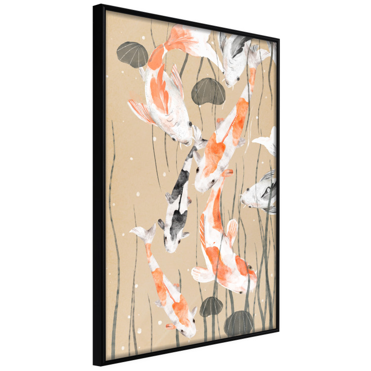 Poster Koi Carps - Floating Painted Japanese Carp Among the Seaweed 145151 additionalImage 15