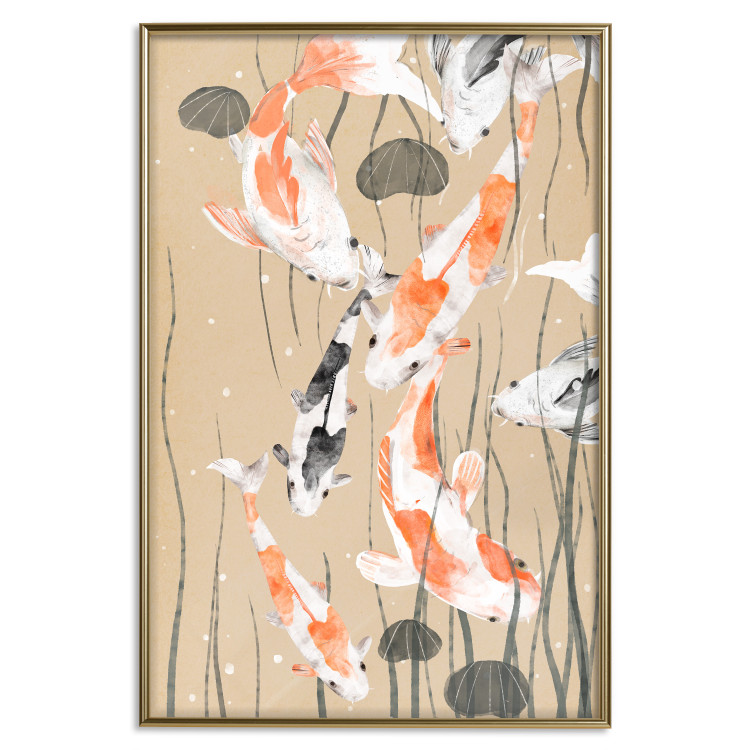 Poster Koi Carps - Floating Painted Japanese Carp Among the Seaweed 145151 additionalImage 25