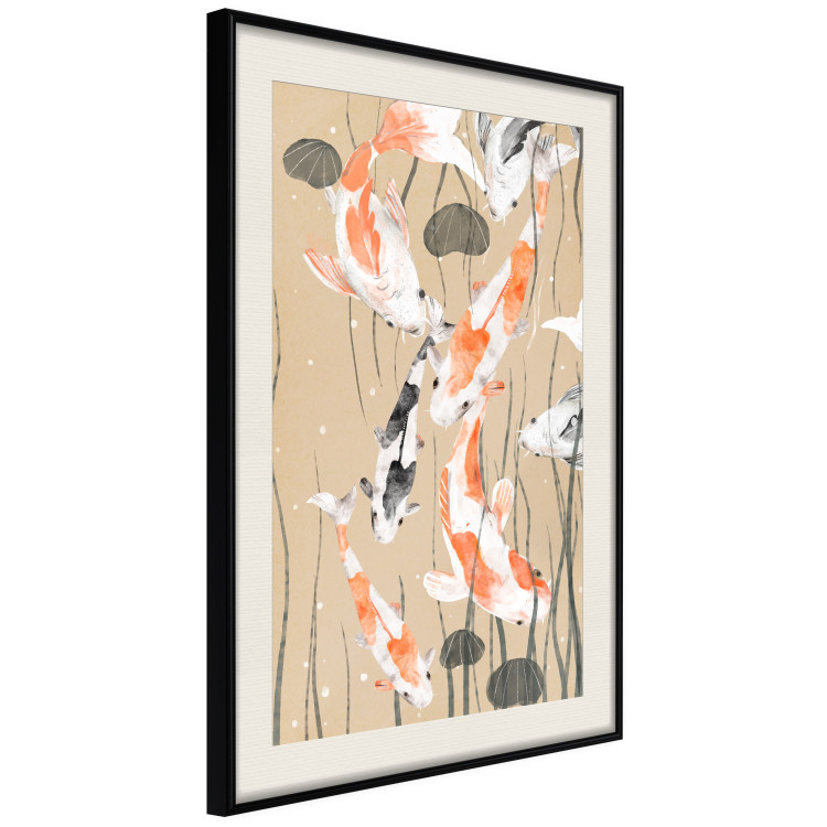 Poster Koi Carps - Floating Painted Japanese Carp Among the Seaweed 145151 additionalImage 4